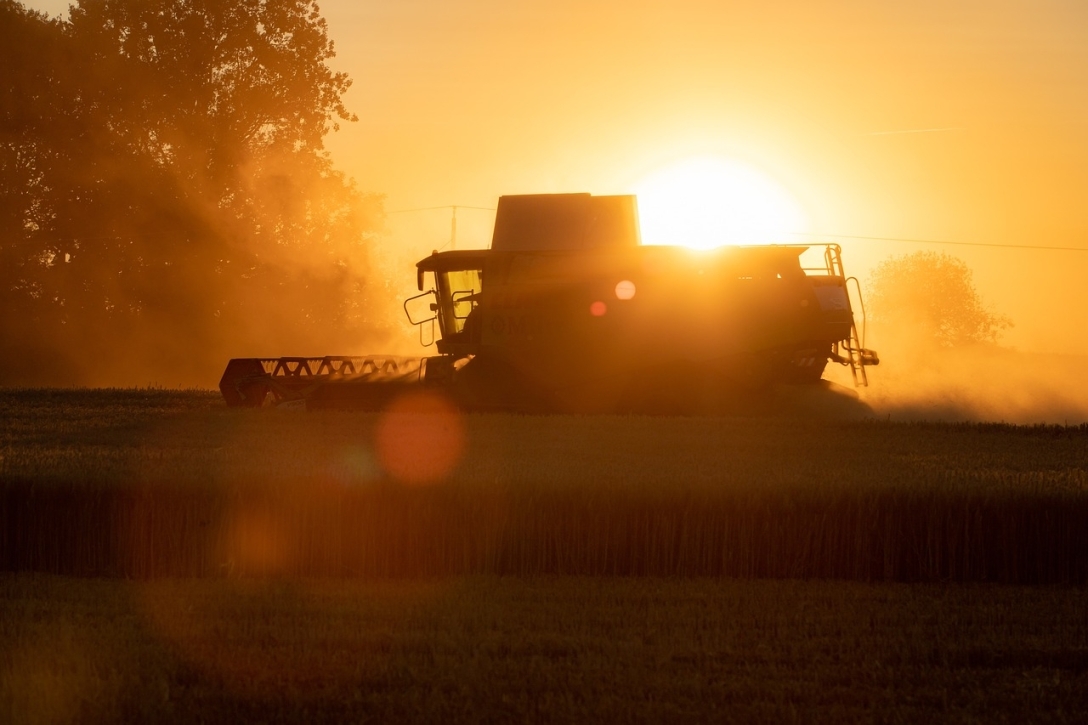 combine harvester harvest grain 4684368jpg