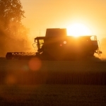 combine harvester, harvest, grain-4684368.jpg