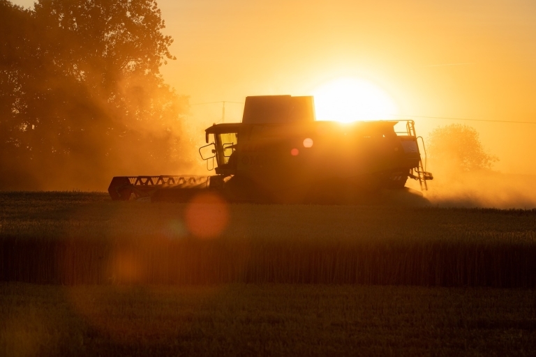 combine harvester, harvest, grain-4684368.jpg